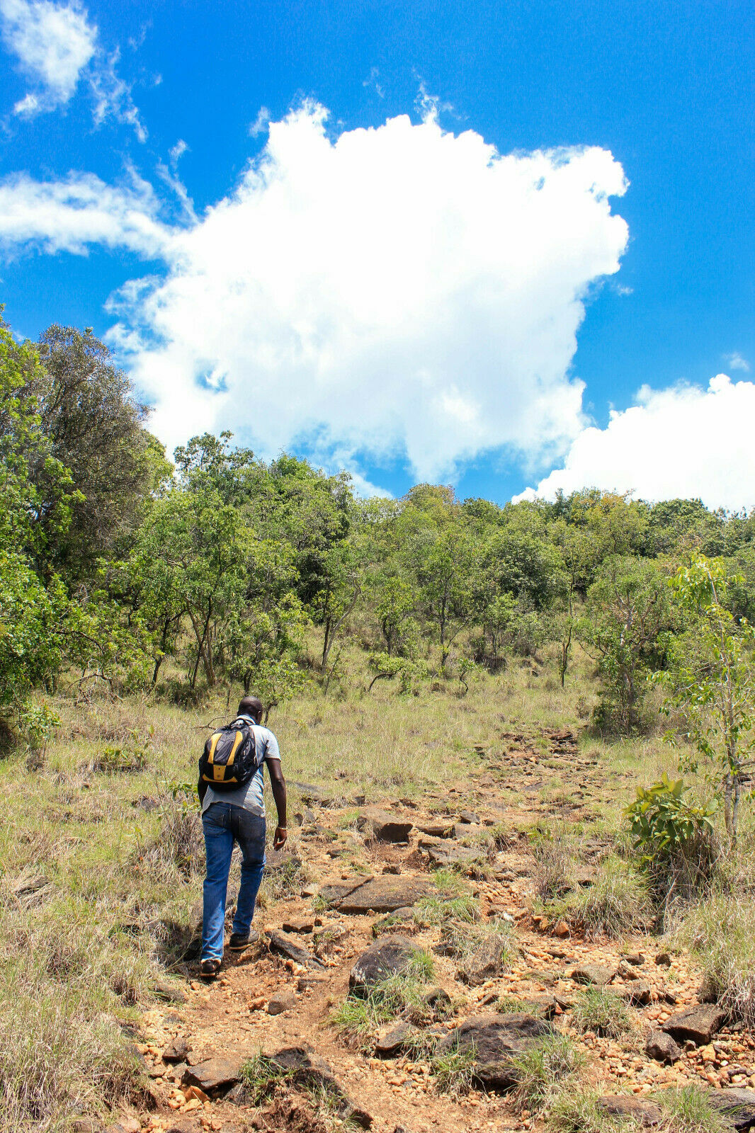 Moderate Hiking And Trekking In Kenya (9 Days) (price For 2 Travellers)